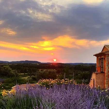 Mas De La Costa ****