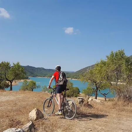 Mas De La Costa **** فندق