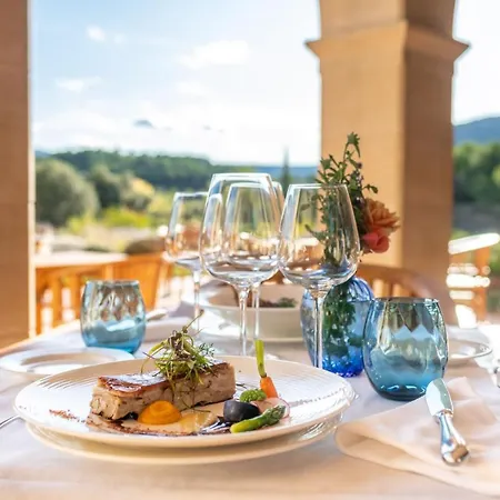 Mas De La Costa **** 4* فالديروبريس