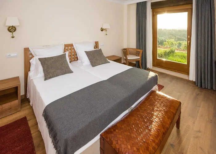 Hotel Mas De La Costa ****